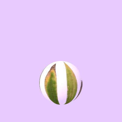 Without