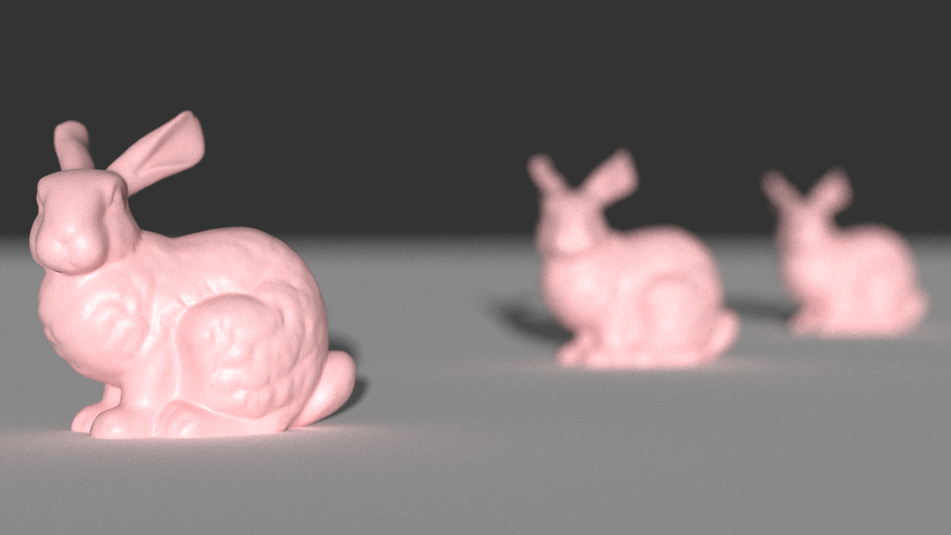 Focus on First Bunny