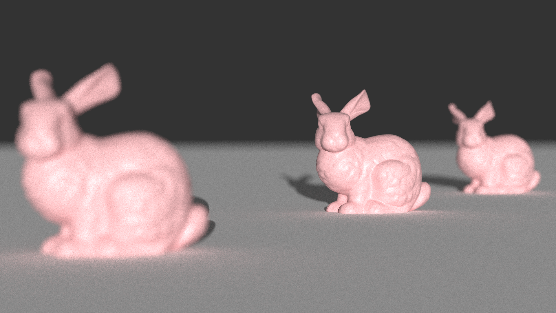 Focus on Second Bunny