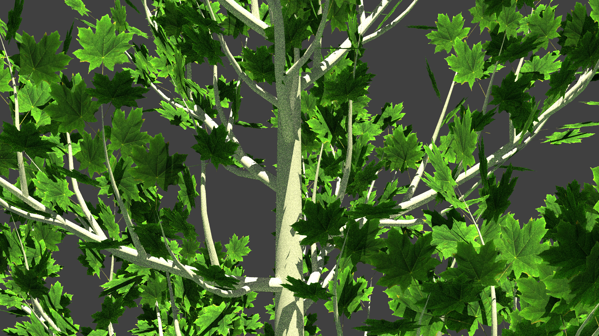 Alpha Masked Foliage