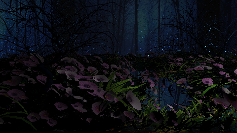 scene