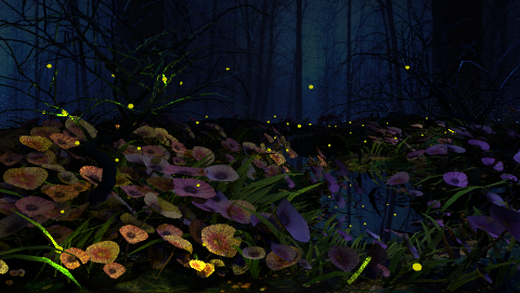 Firefly Forest