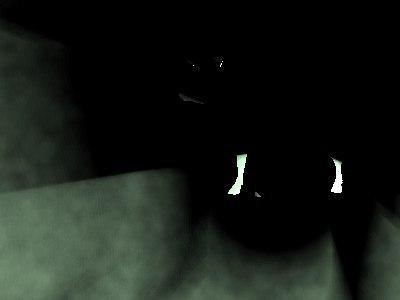 shadow cow
