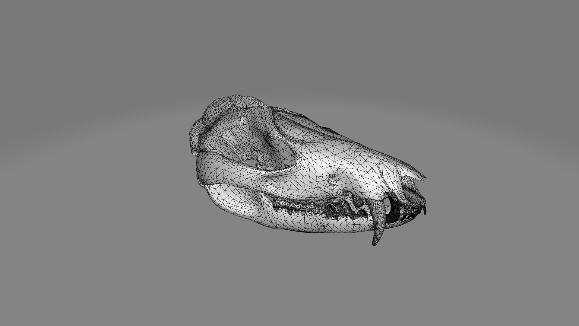 skull model taken from Blendswap
