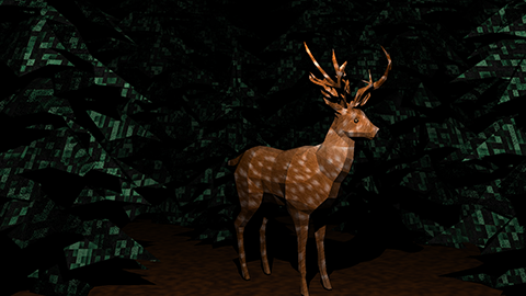 Night Forest
