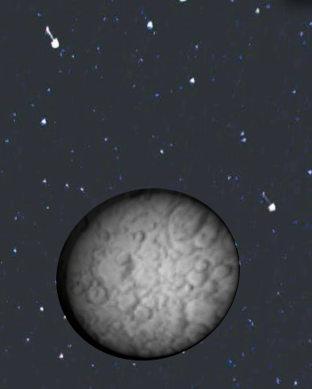 moon-star-highlight