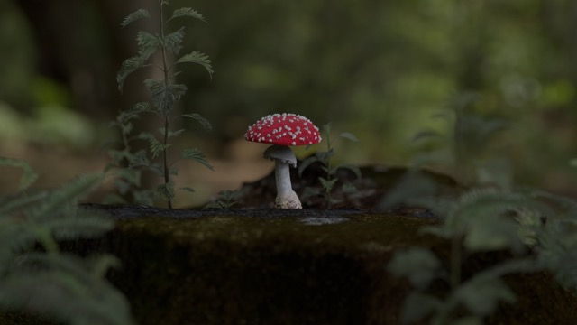 Mystic Mushroom Grove